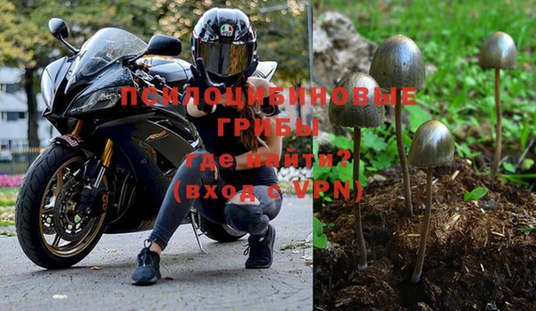 твердый Белокуриха