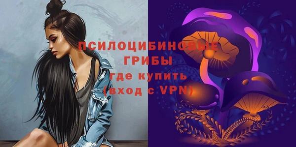 твердый Белокуриха