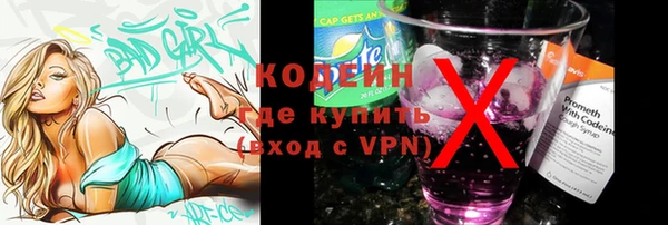 молекула духа Белоозёрский