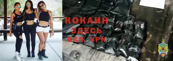молекула духа Белоозёрский
