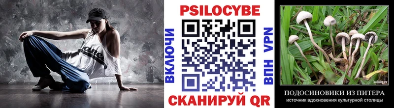 ссылка на мегу как войти  Черноголовка  Псилоцибиновые грибы ЛСД 